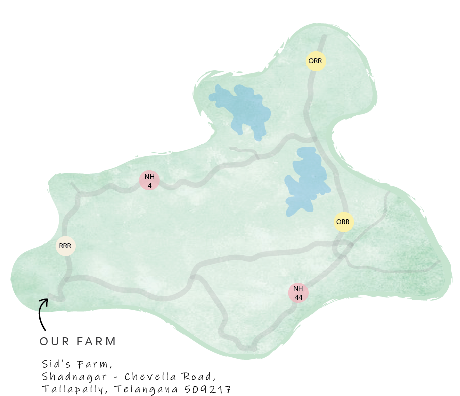 map background
